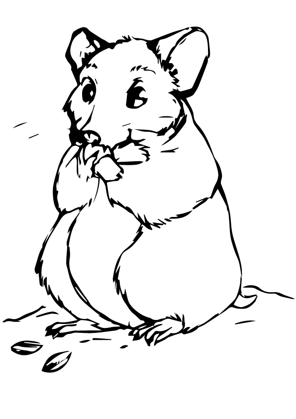 Plansa de colorat cu Hamsteri 14 6
